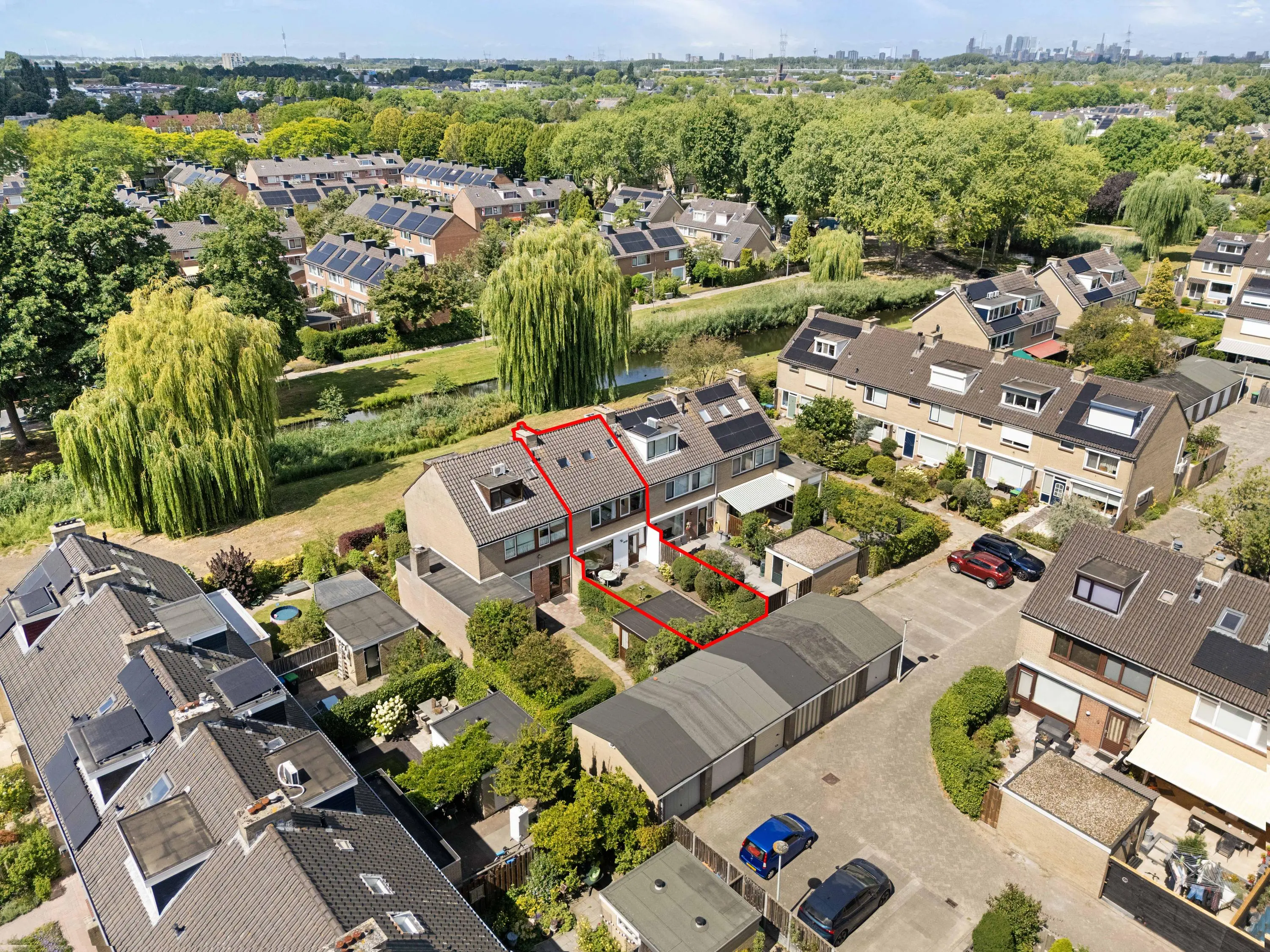 Korenbloem 29