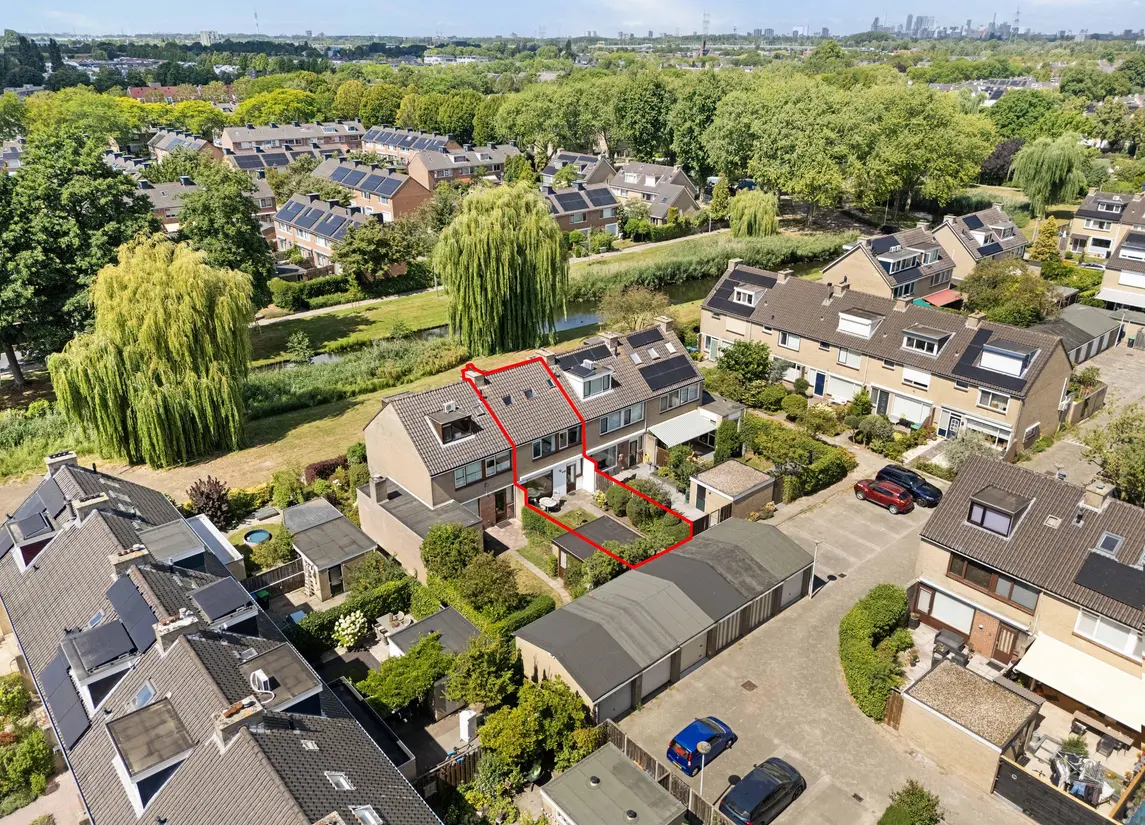 Korenbloem 29