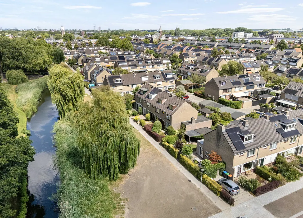Korenbloem 29
