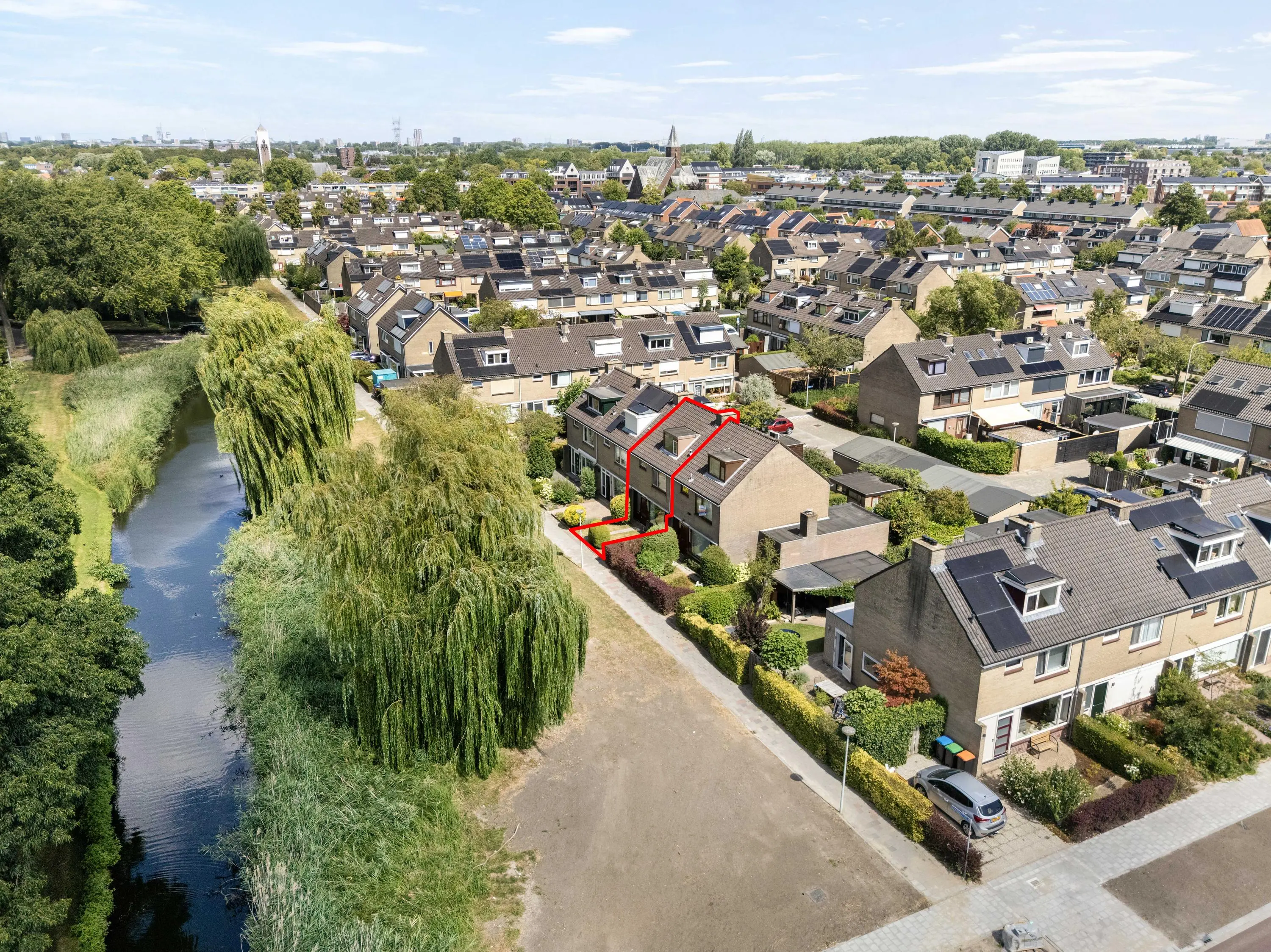 Korenbloem 29