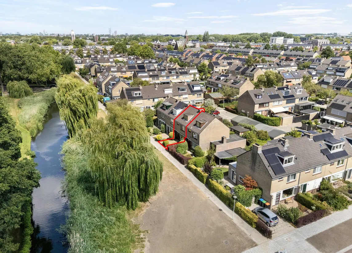 Korenbloem 29