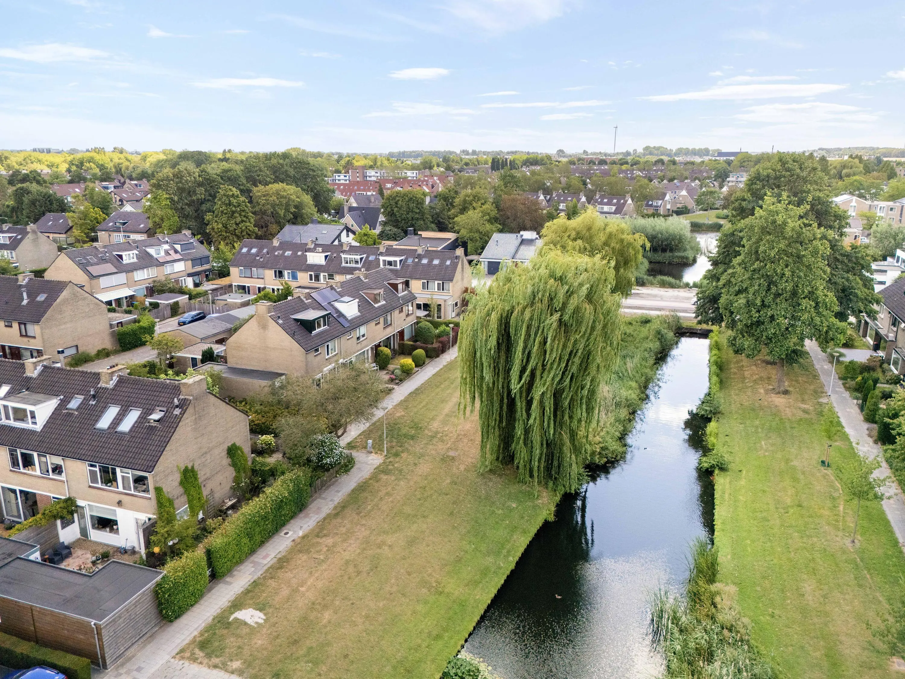 Korenbloem 29