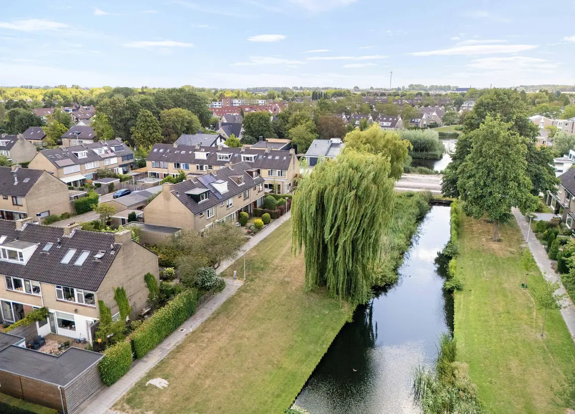 Korenbloem 29