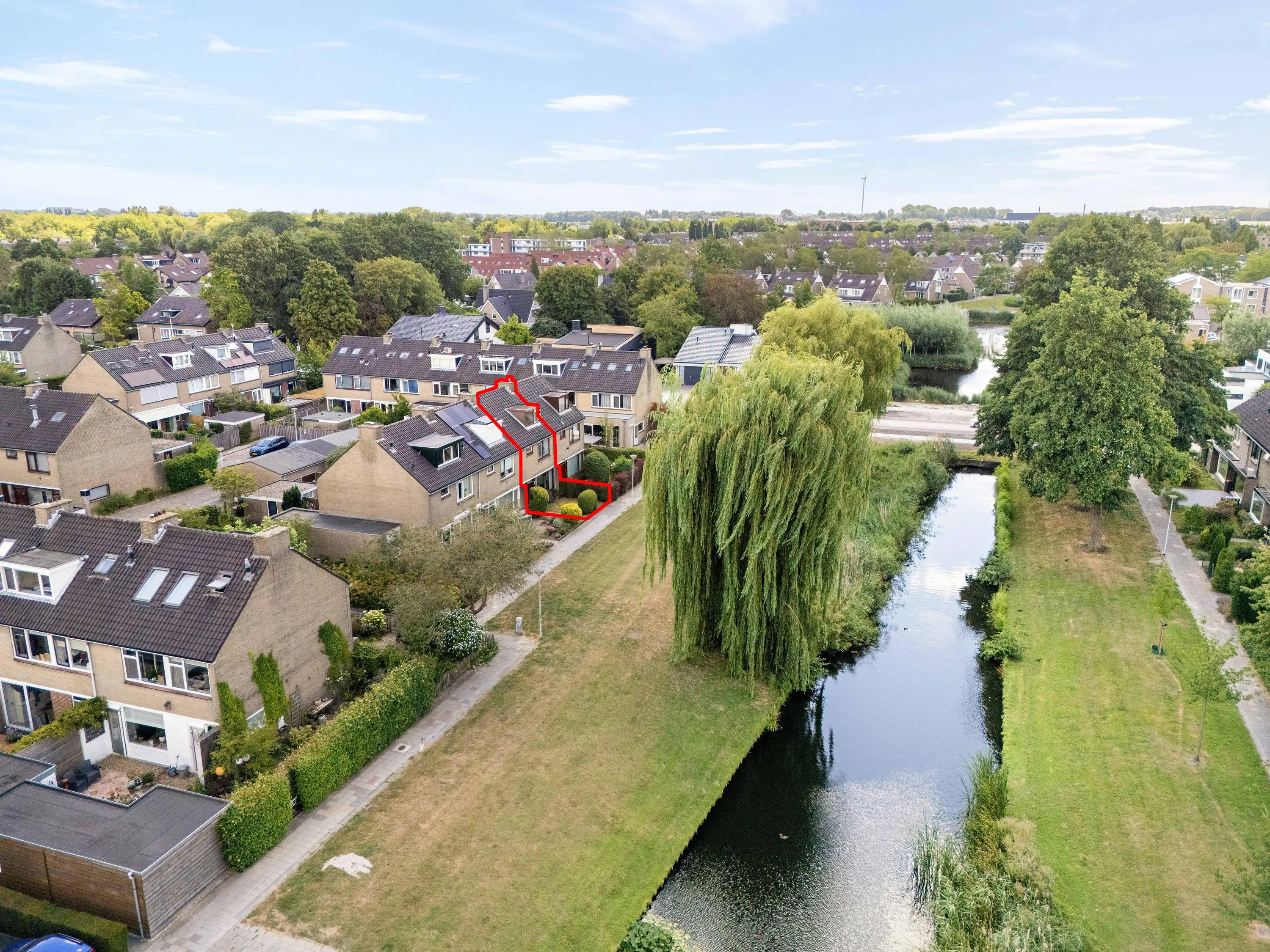 Korenbloem 29