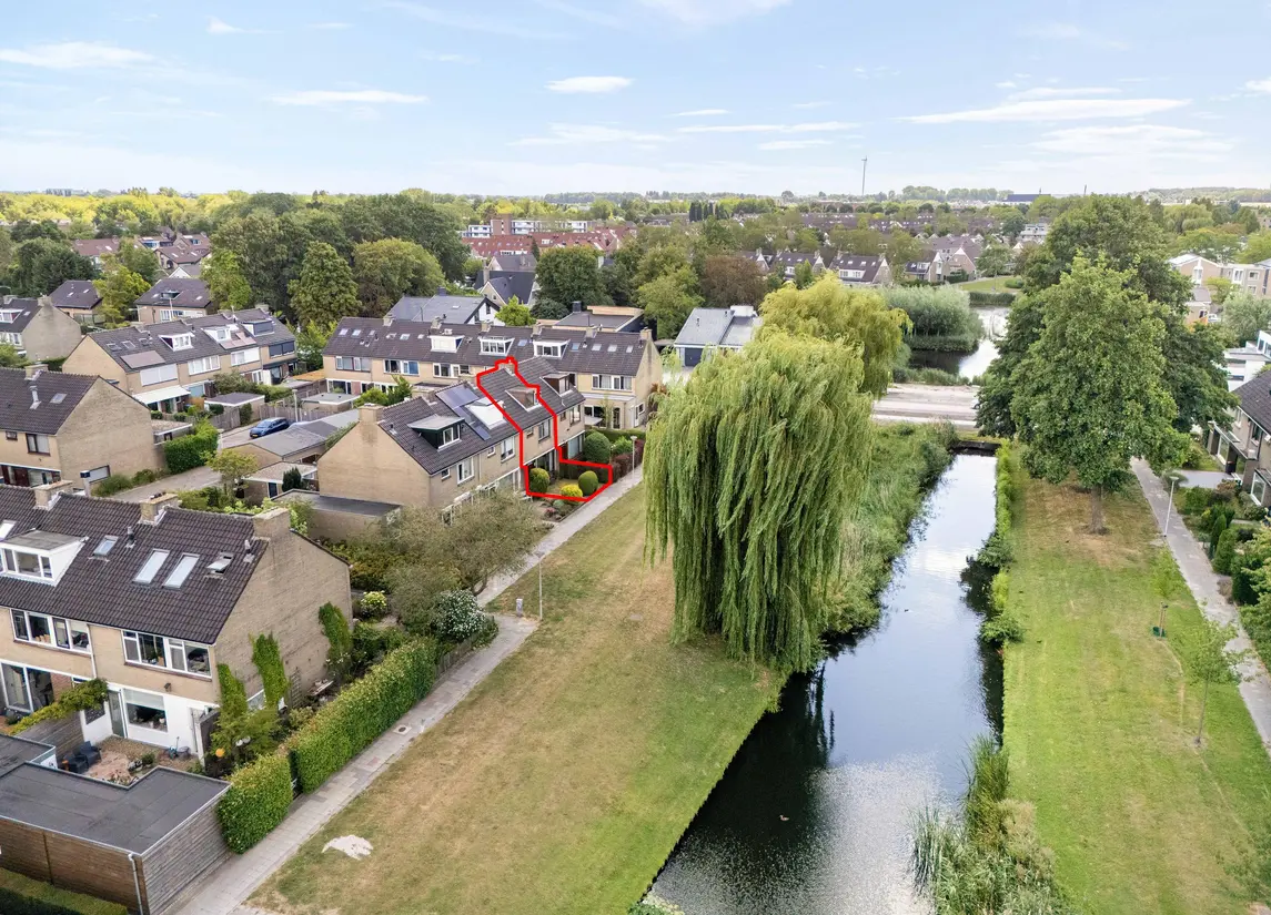 Korenbloem 29
