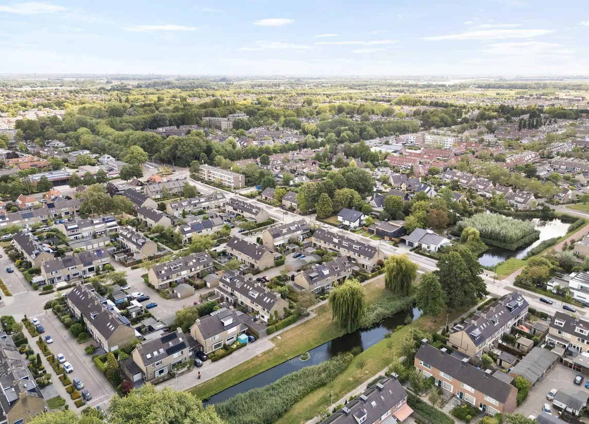 Korenbloem 29