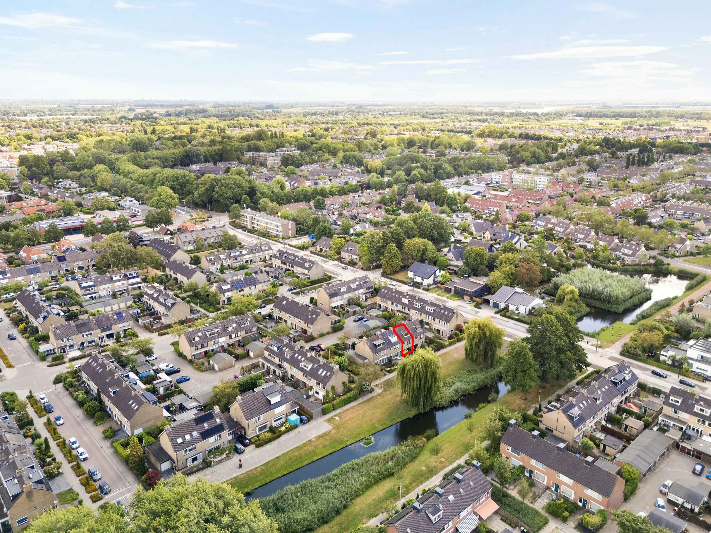 Korenbloem 29