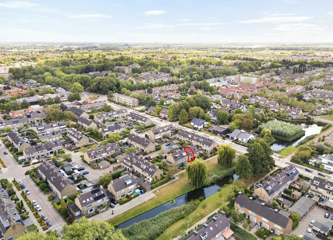 Korenbloem 29