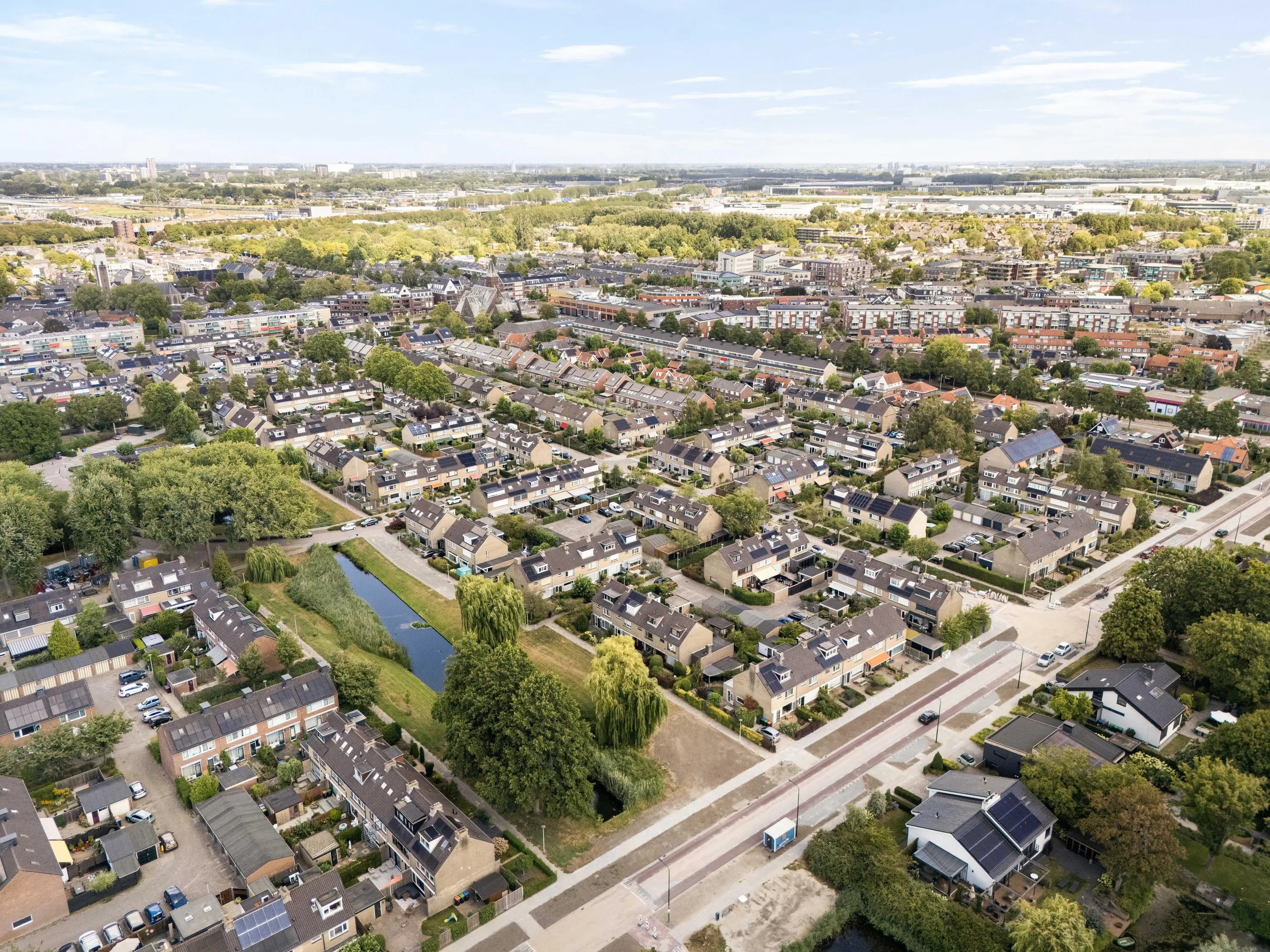 Korenbloem 29