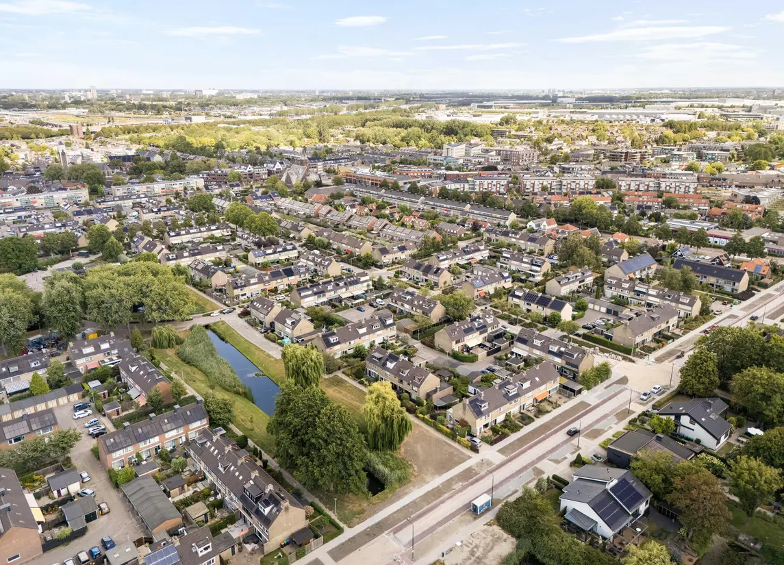 Korenbloem 29