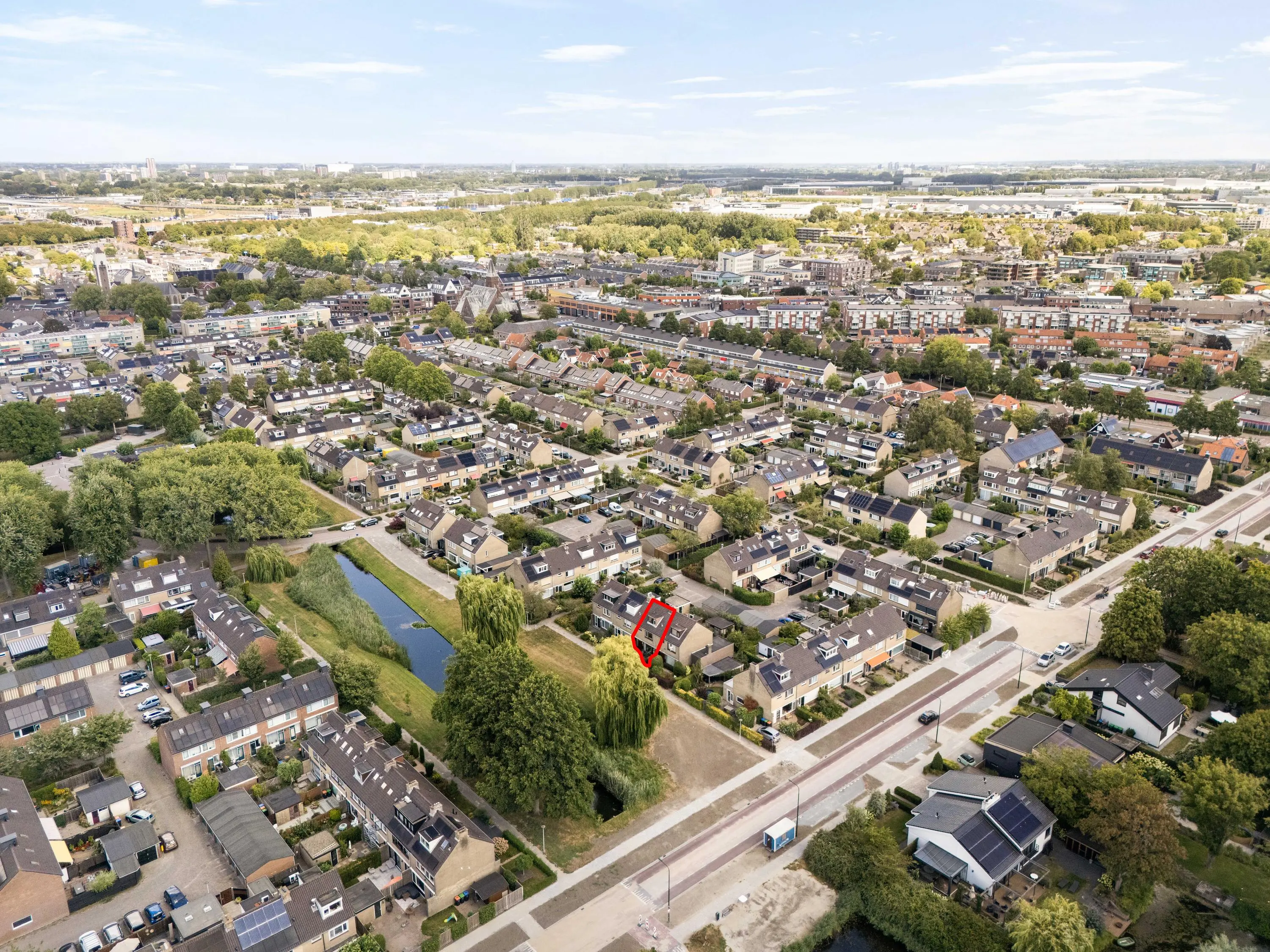 Korenbloem 29