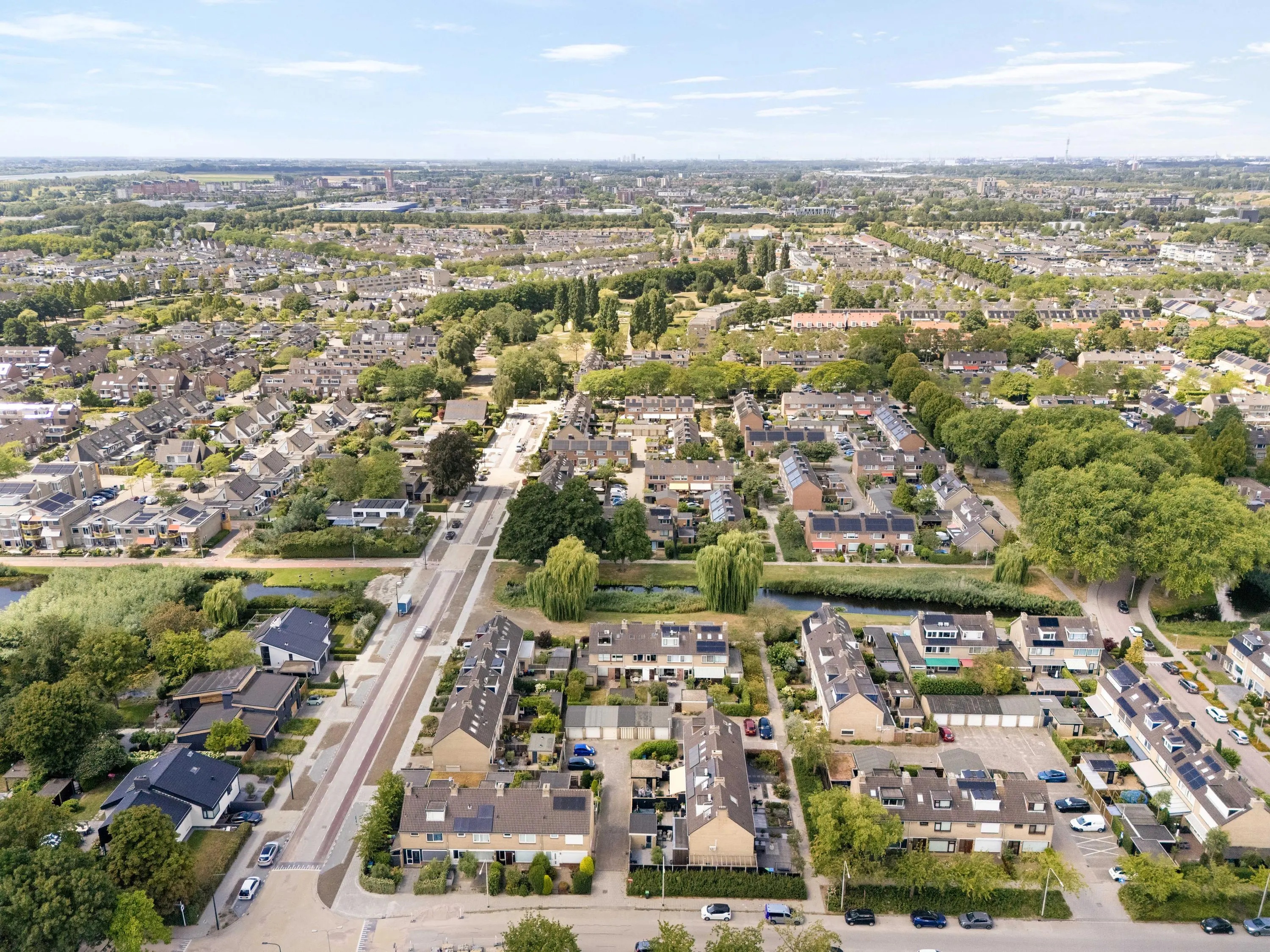 Korenbloem 29