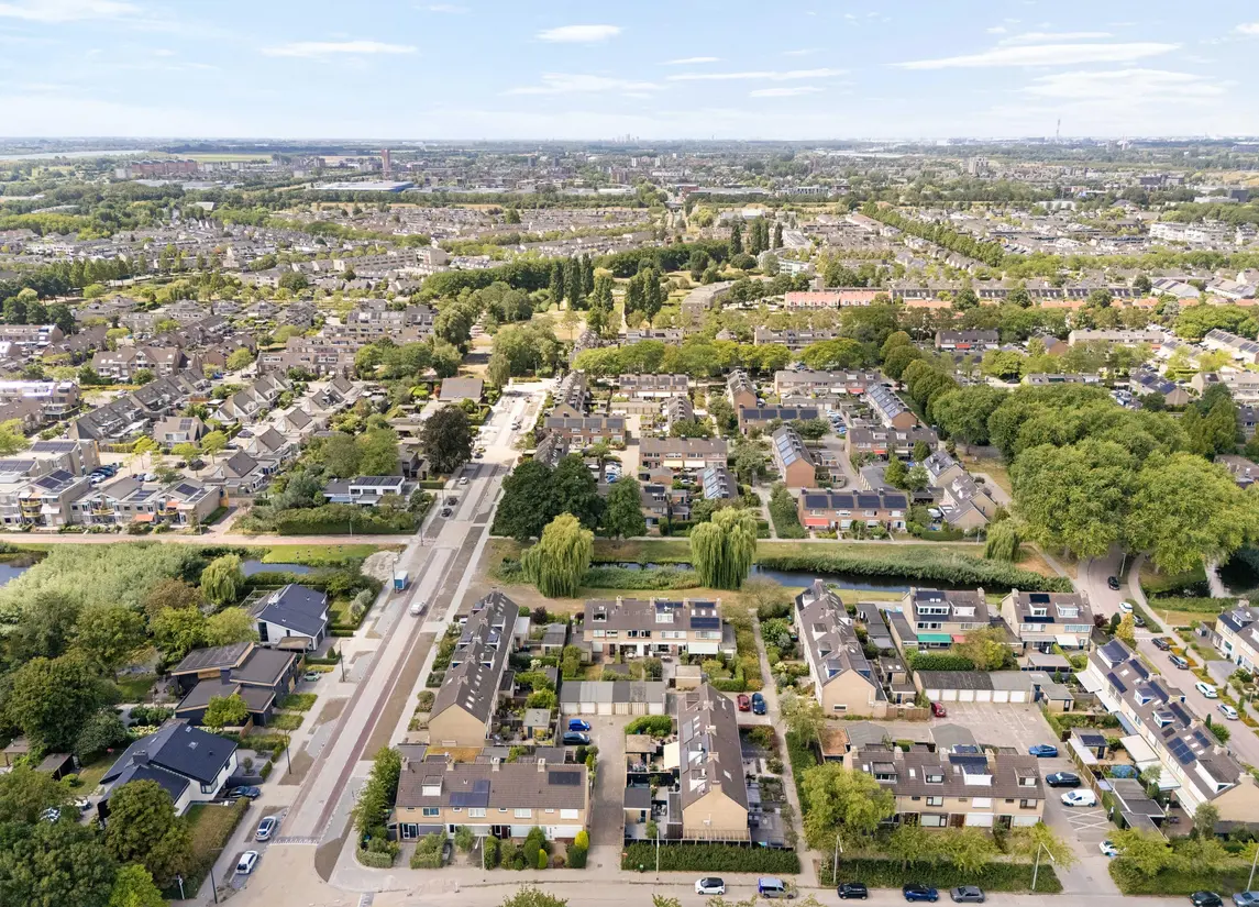 Korenbloem 29