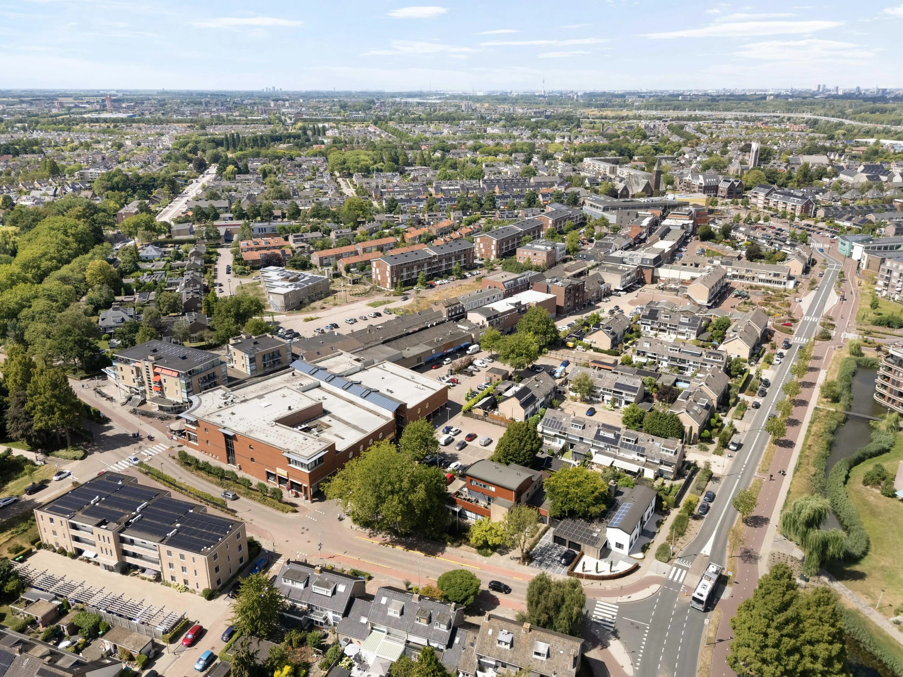Korenbloem 29