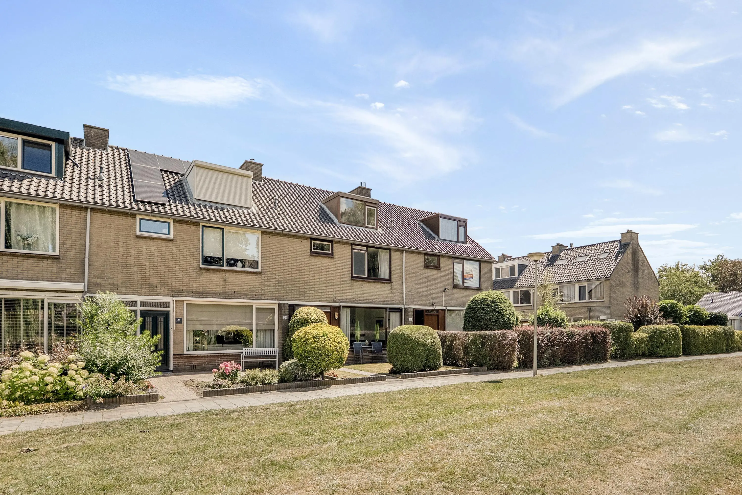 Korenbloem 29
