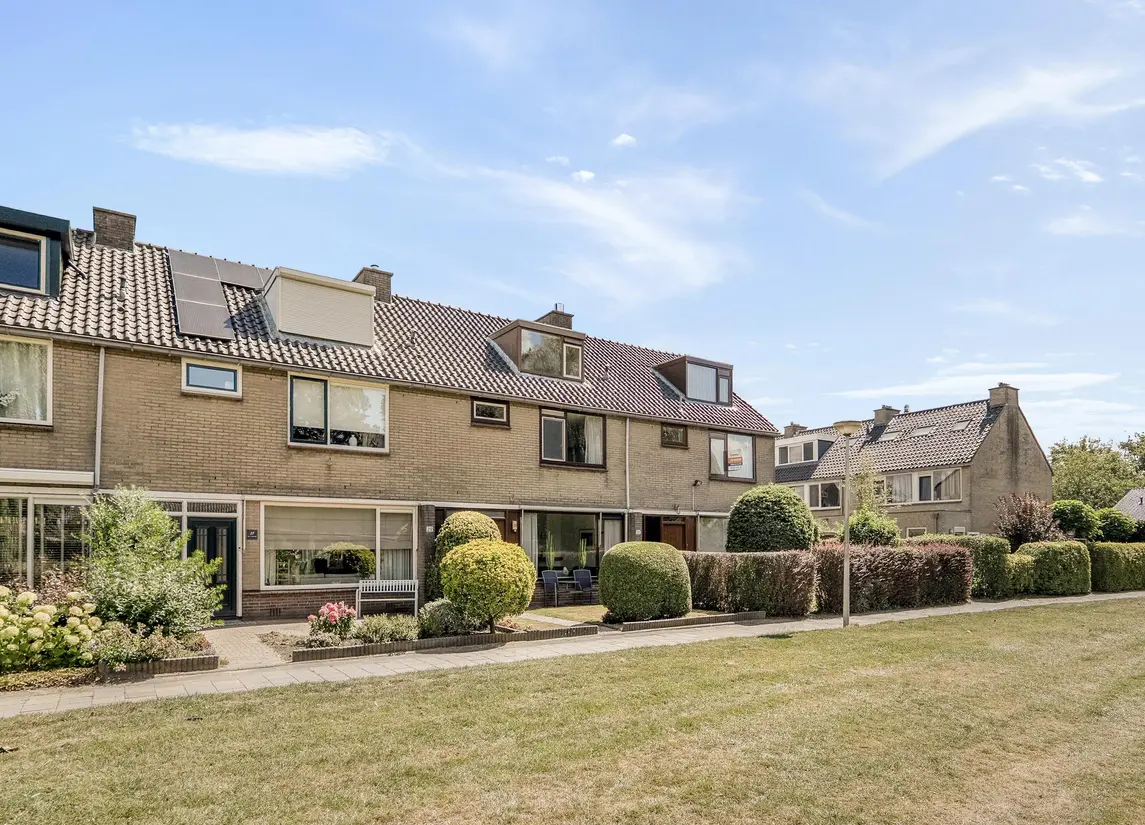 Korenbloem 29