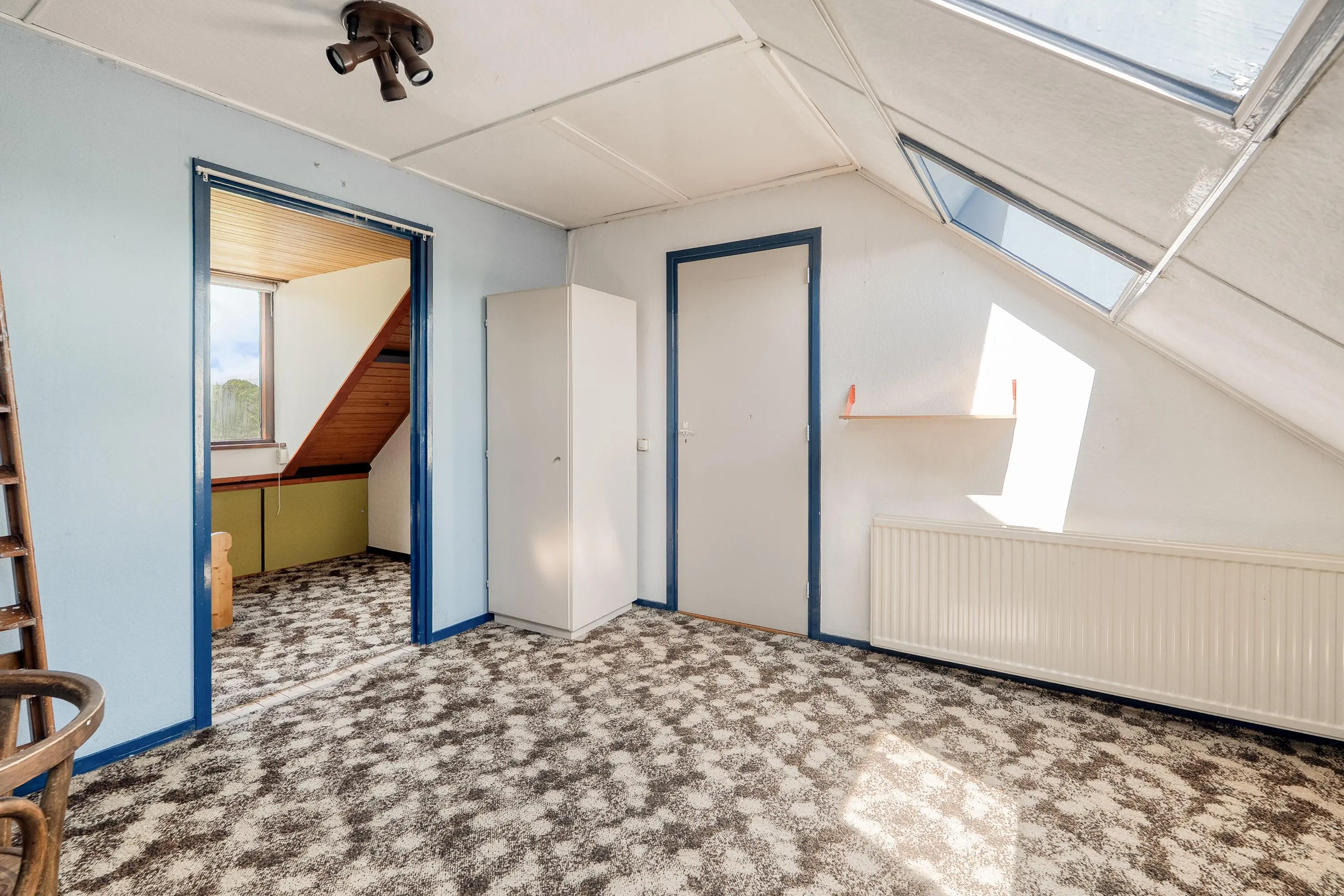 Korenbloem 29