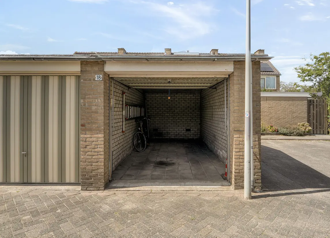 Korenbloem 29