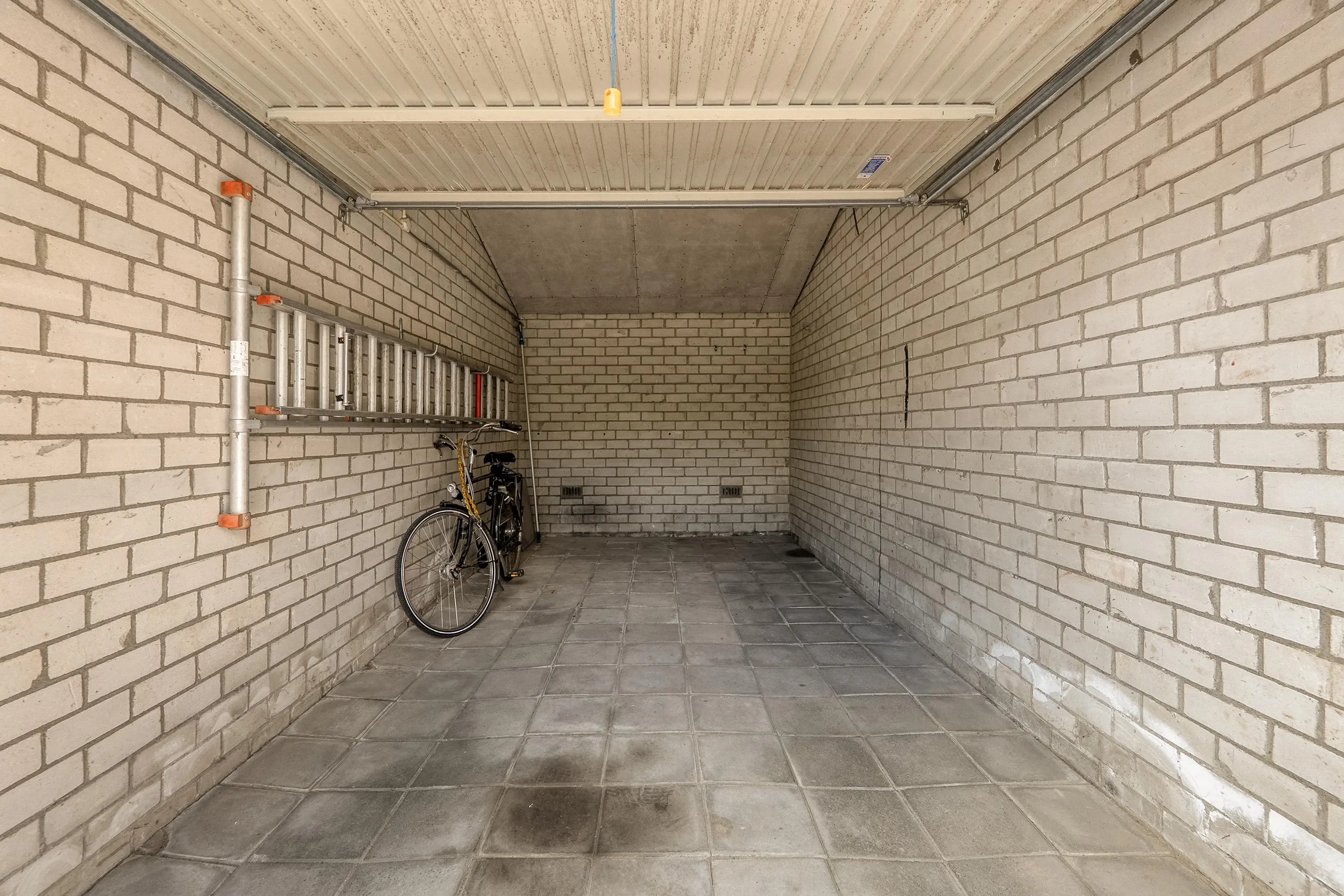 Korenbloem 29