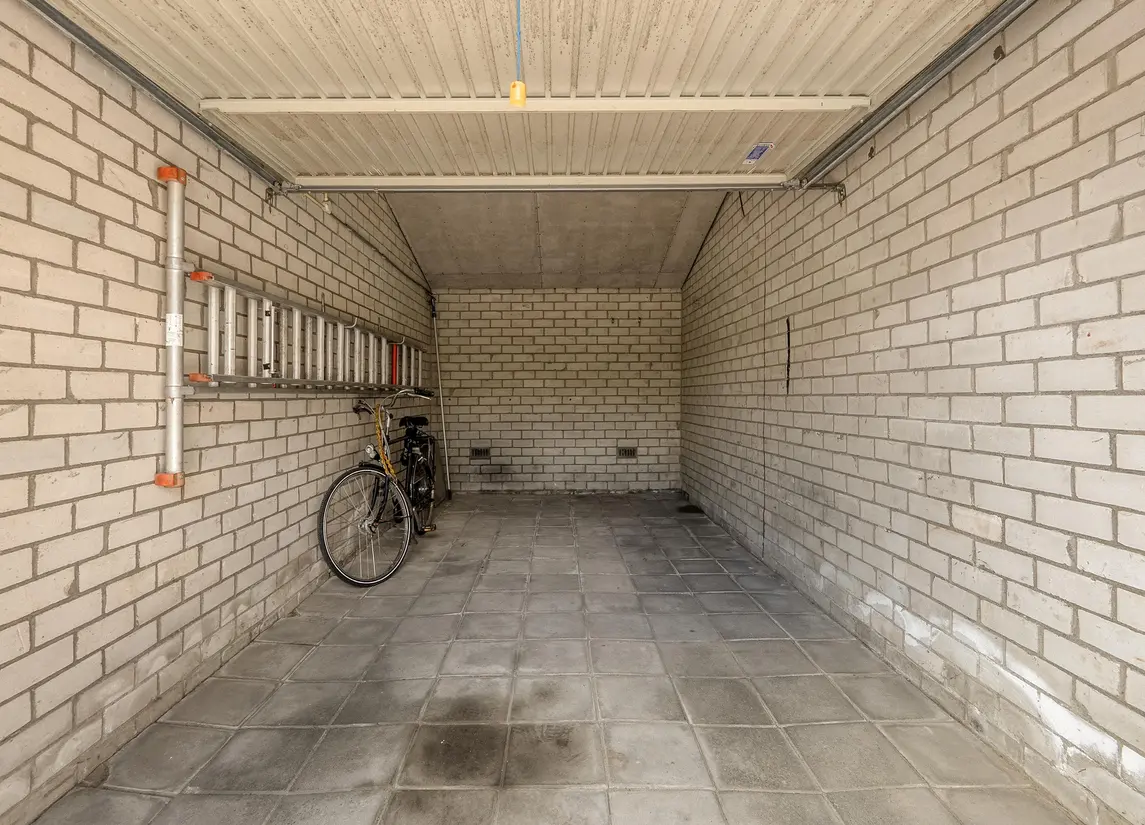 Korenbloem 29