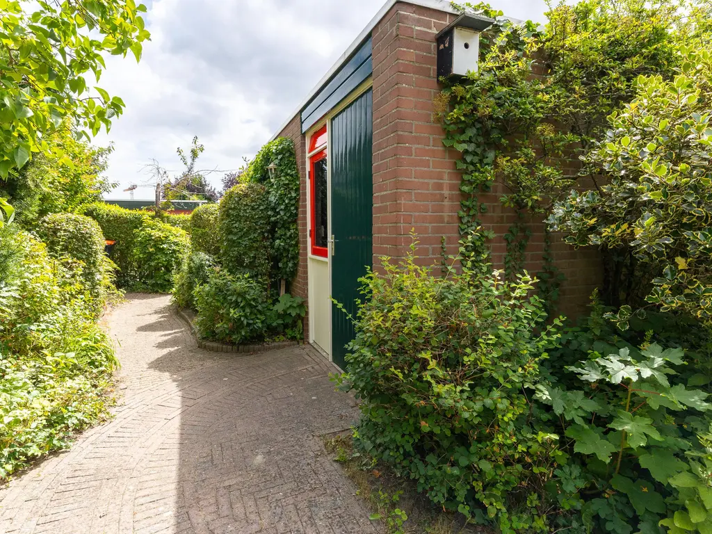 Botter 65, HOORN