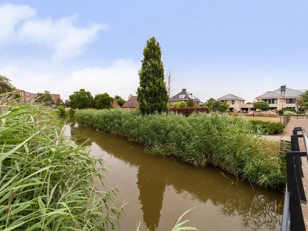 Druivenlaan 4, Den Haag