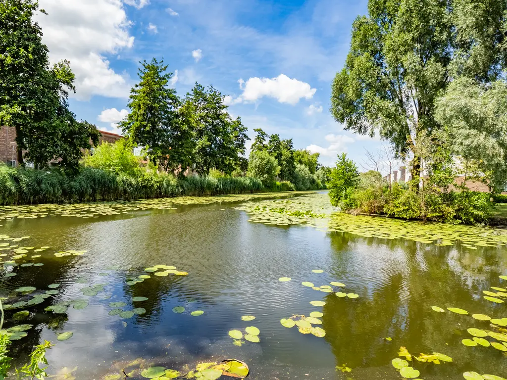 Zeedistel 16, DE MEERN