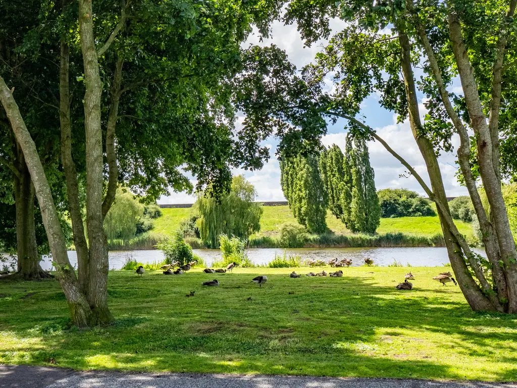 Zeedistel 16, DE MEERN