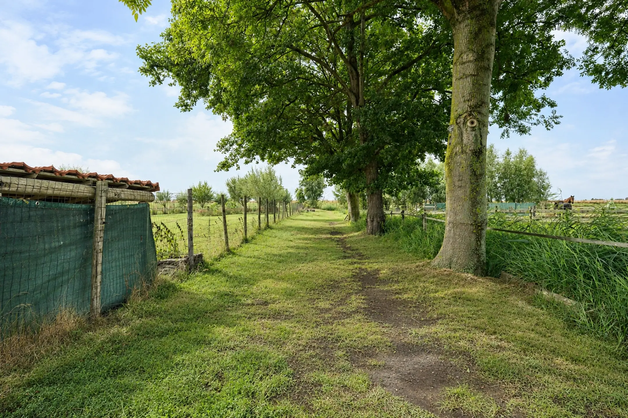 Wilsveen 20