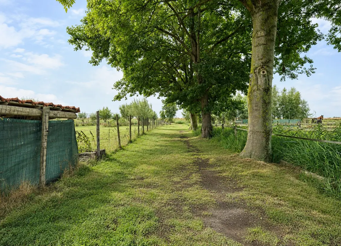 Wilsveen 20