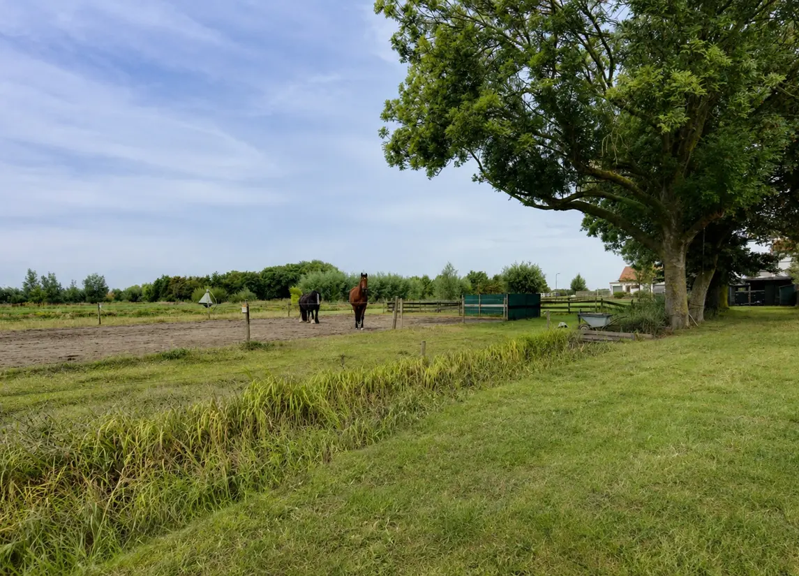 Wilsveen 20