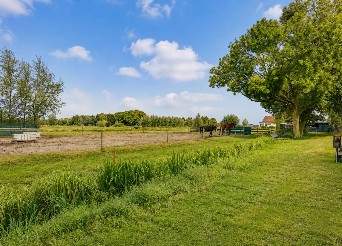 Wilsveen 20