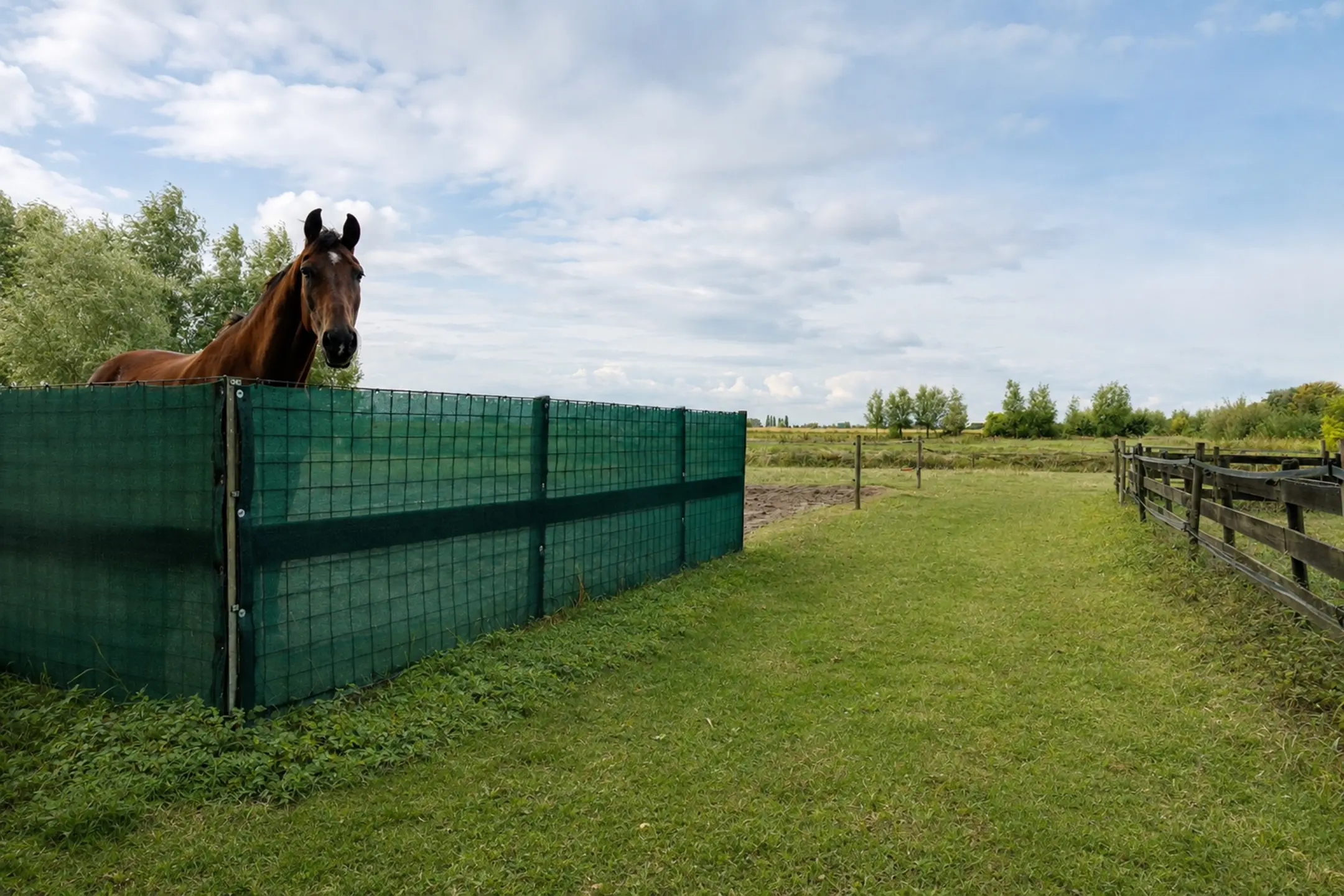 Wilsveen 20