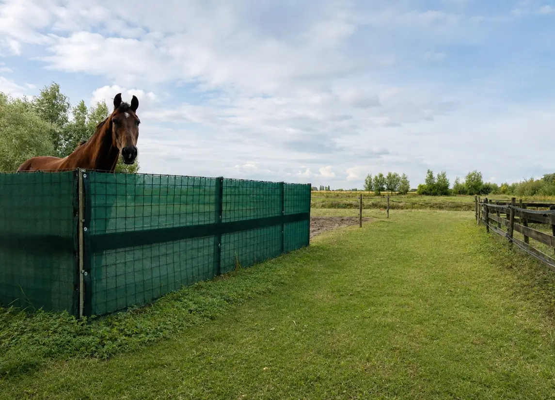 Wilsveen 20