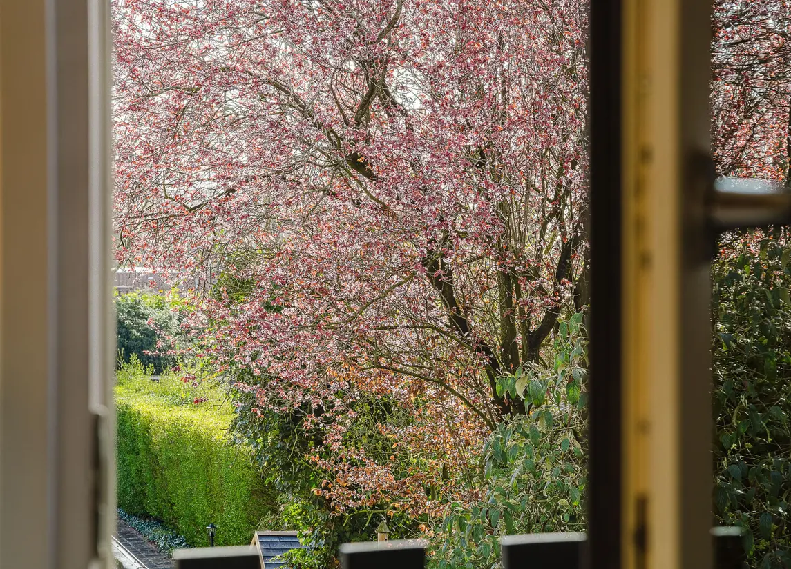 Nieuwstraat 100