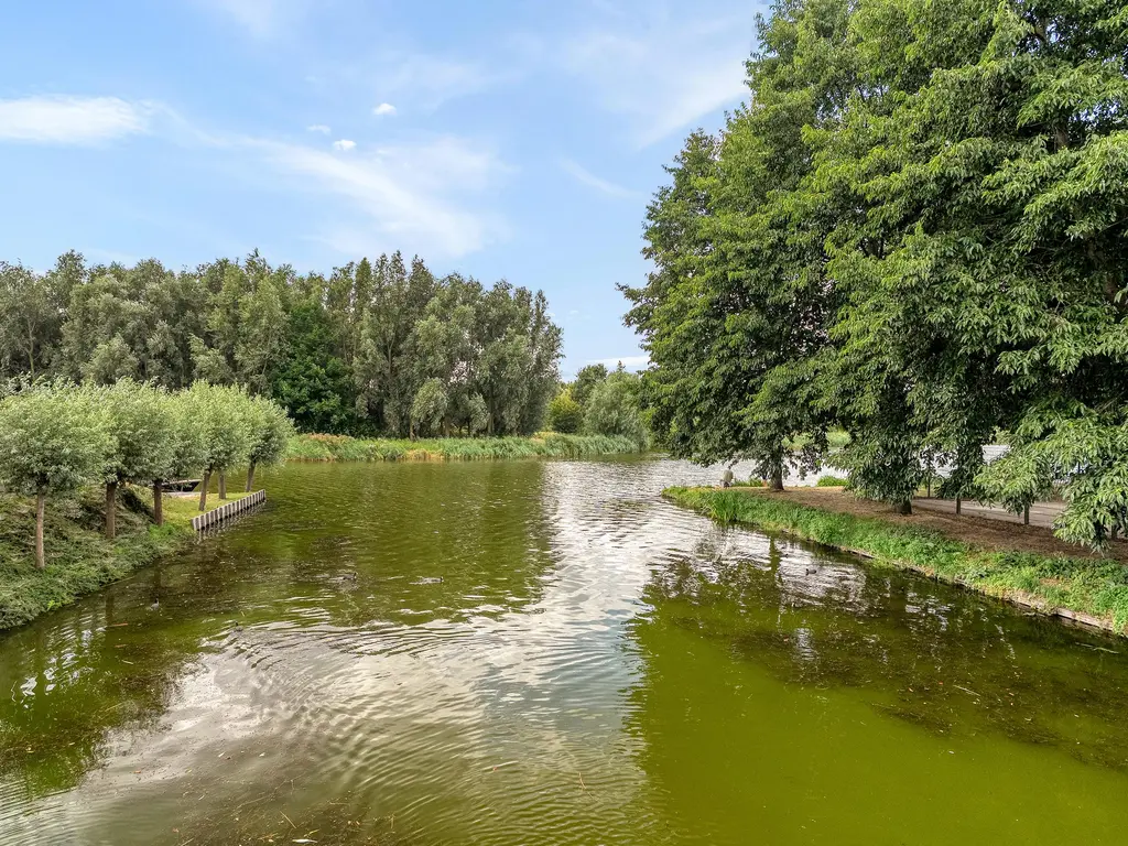 Bezeel 40, RHOON