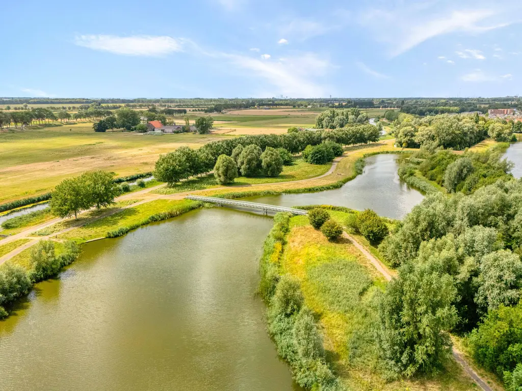 Bezeel 40, RHOON