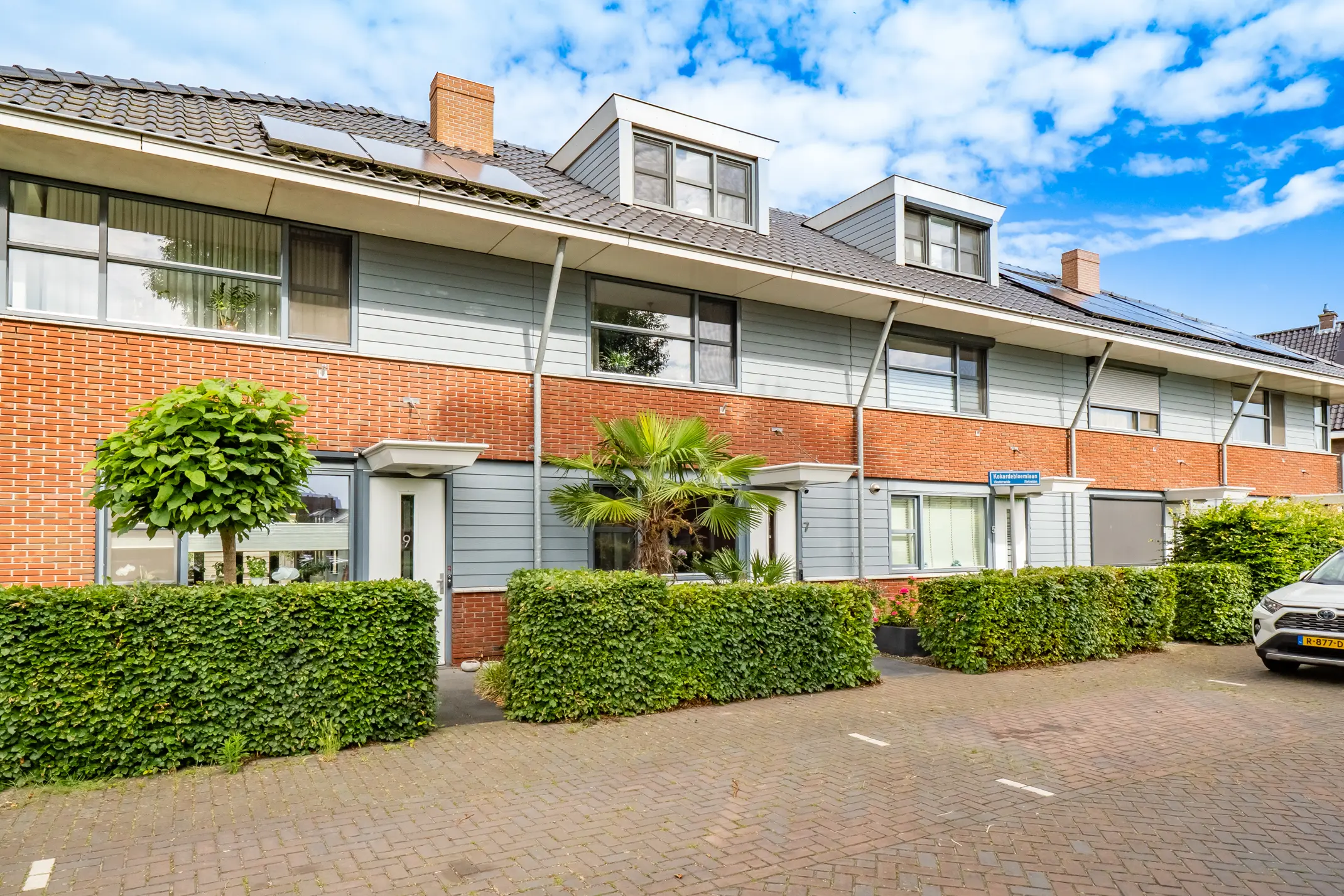 Kokardebloemlaan 7
