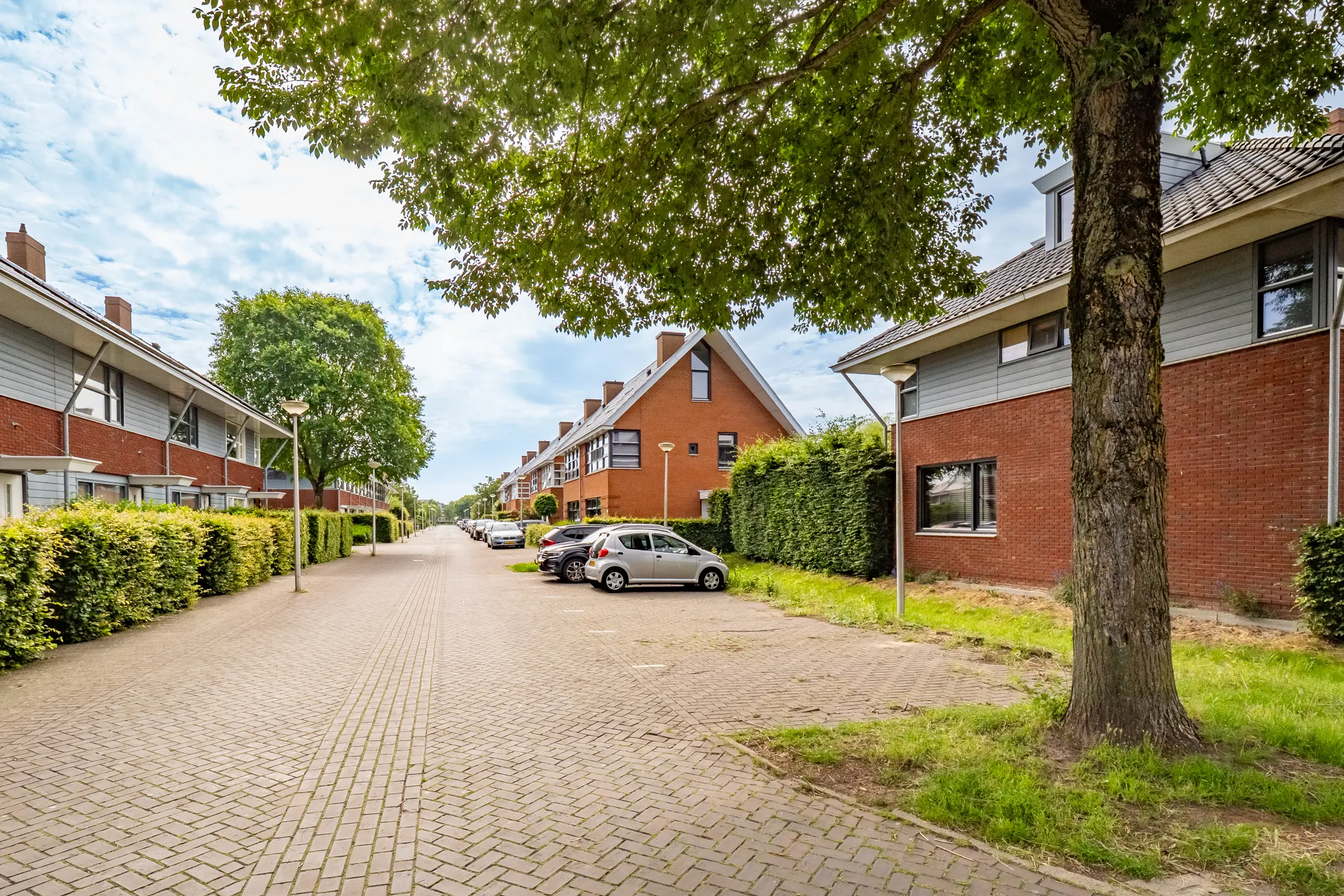 Kokardebloemlaan 7