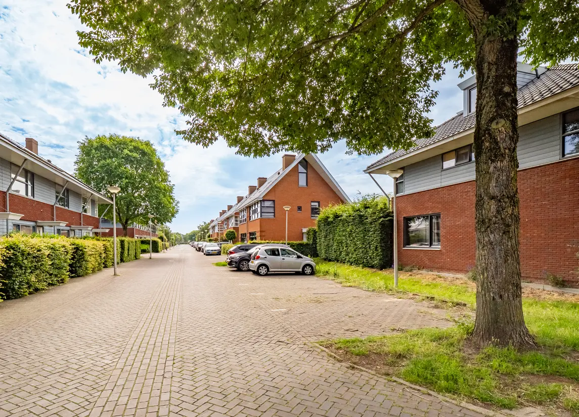 Kokardebloemlaan 7
