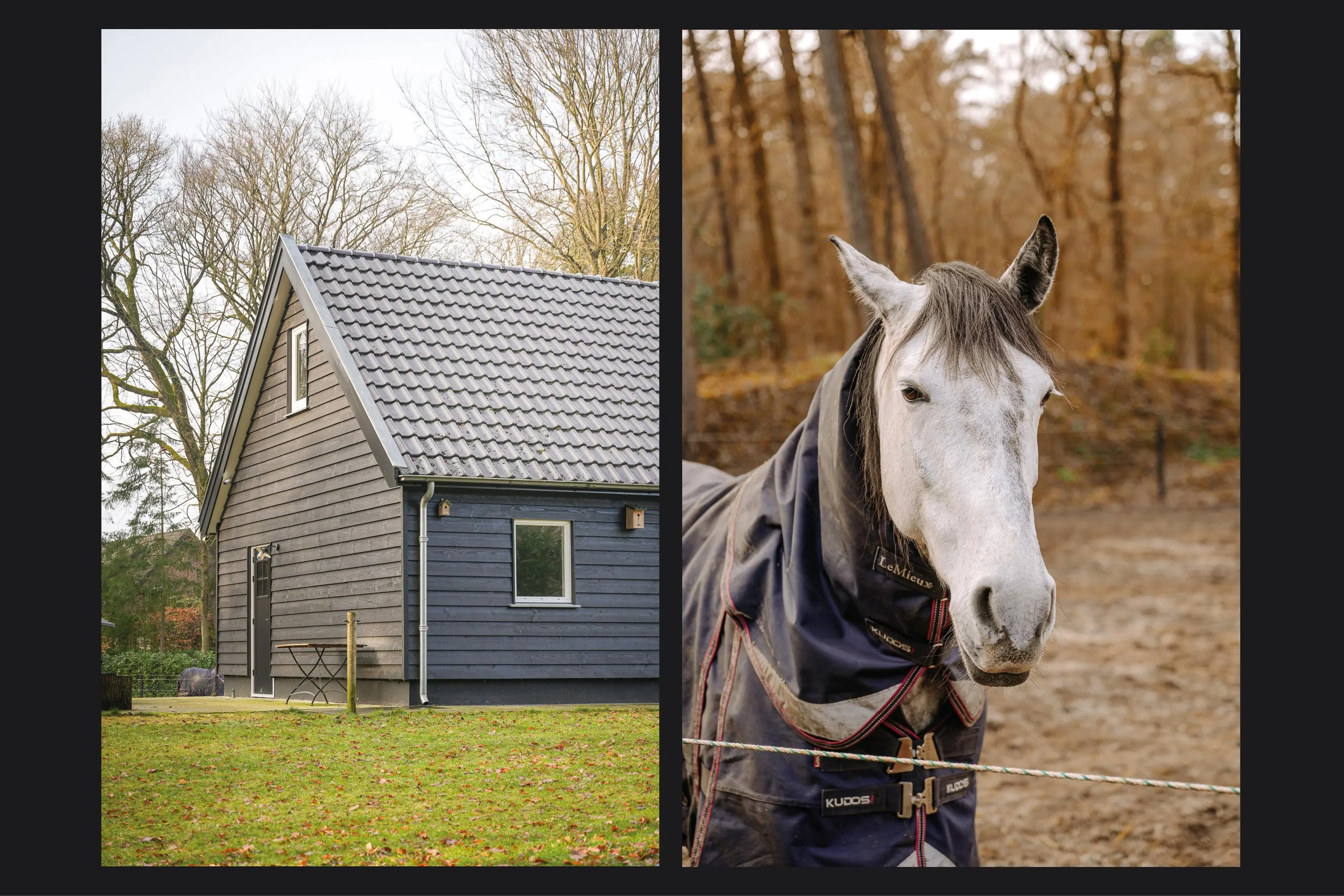 Onder de Bos 103