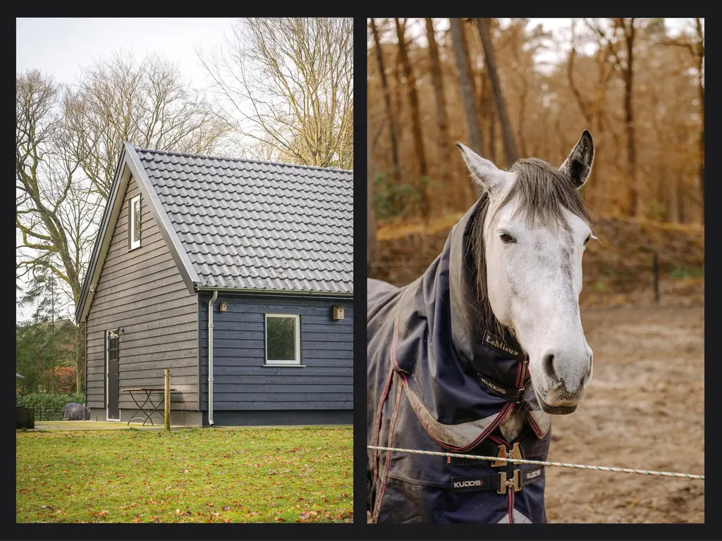 Onder de Bos 103, HULSHORST