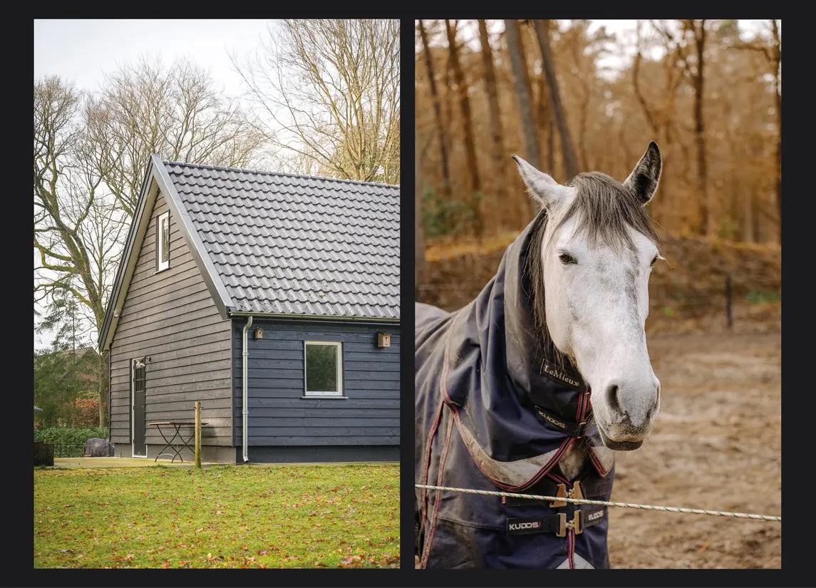 Onder de Bos 103