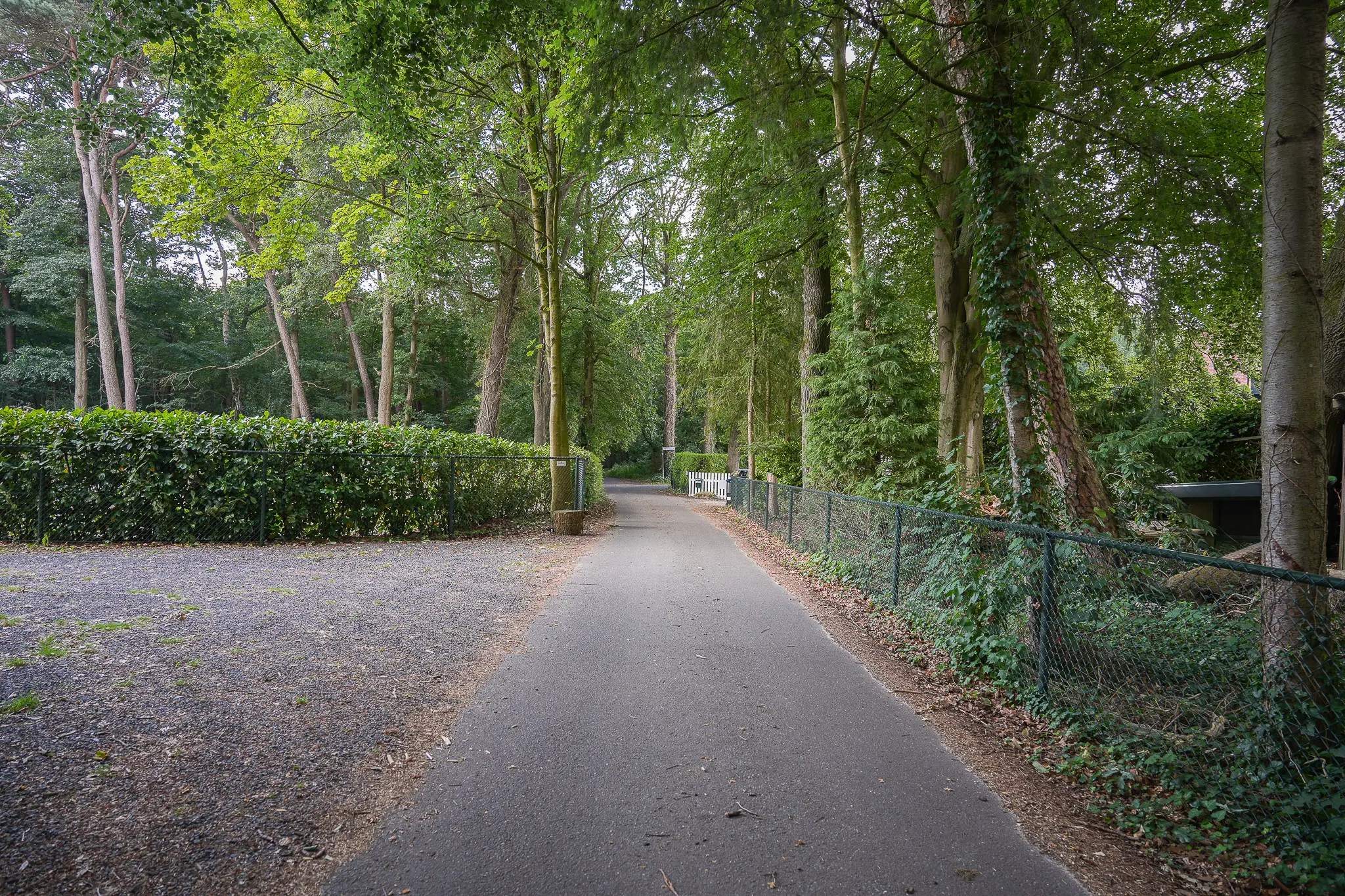 Onder de Bos 103