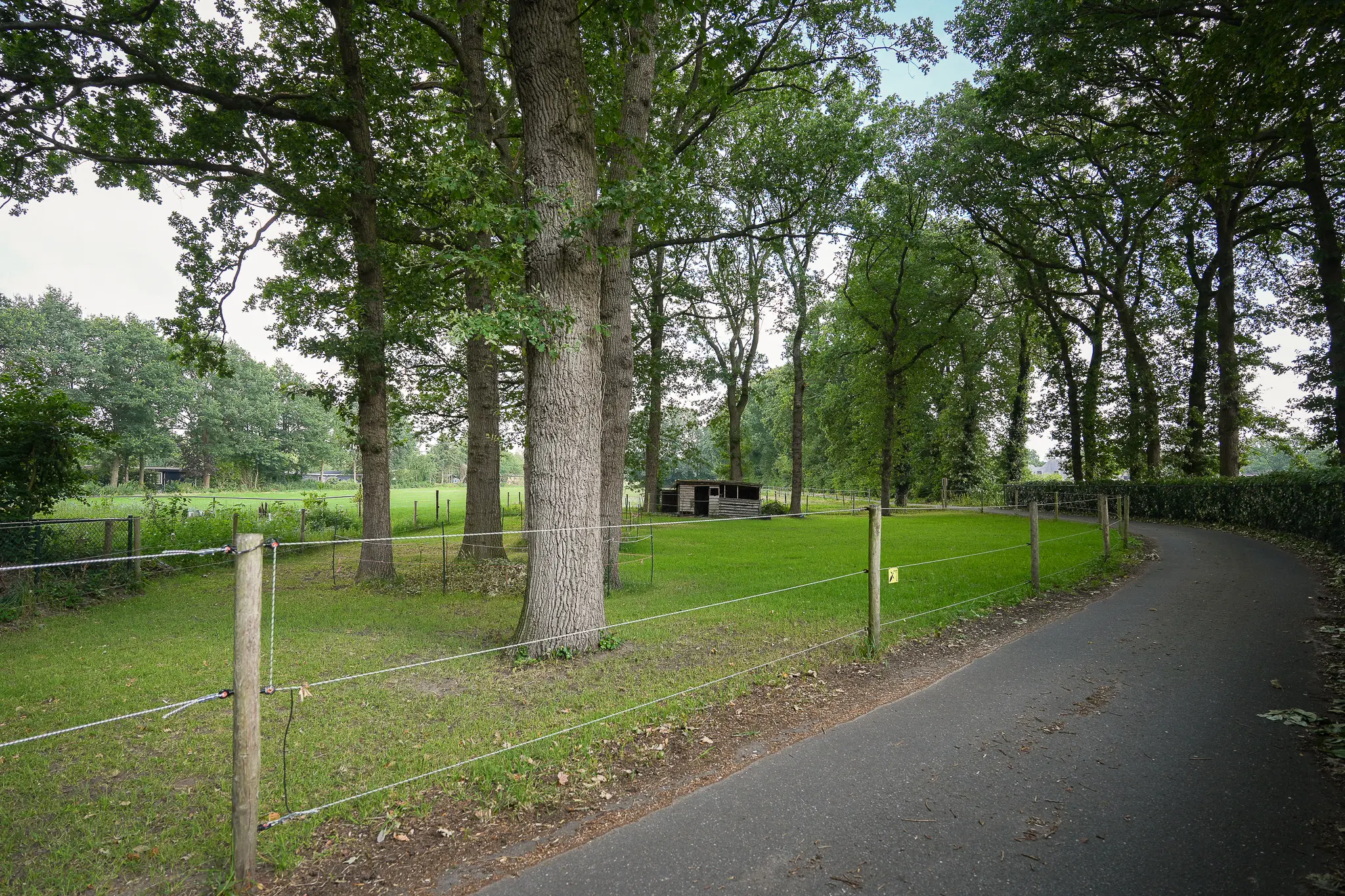 Onder de Bos 103