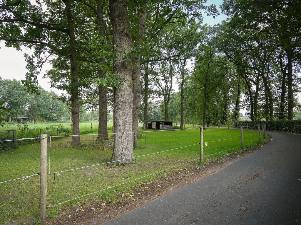 Onder de Bos 103, HULSHORST