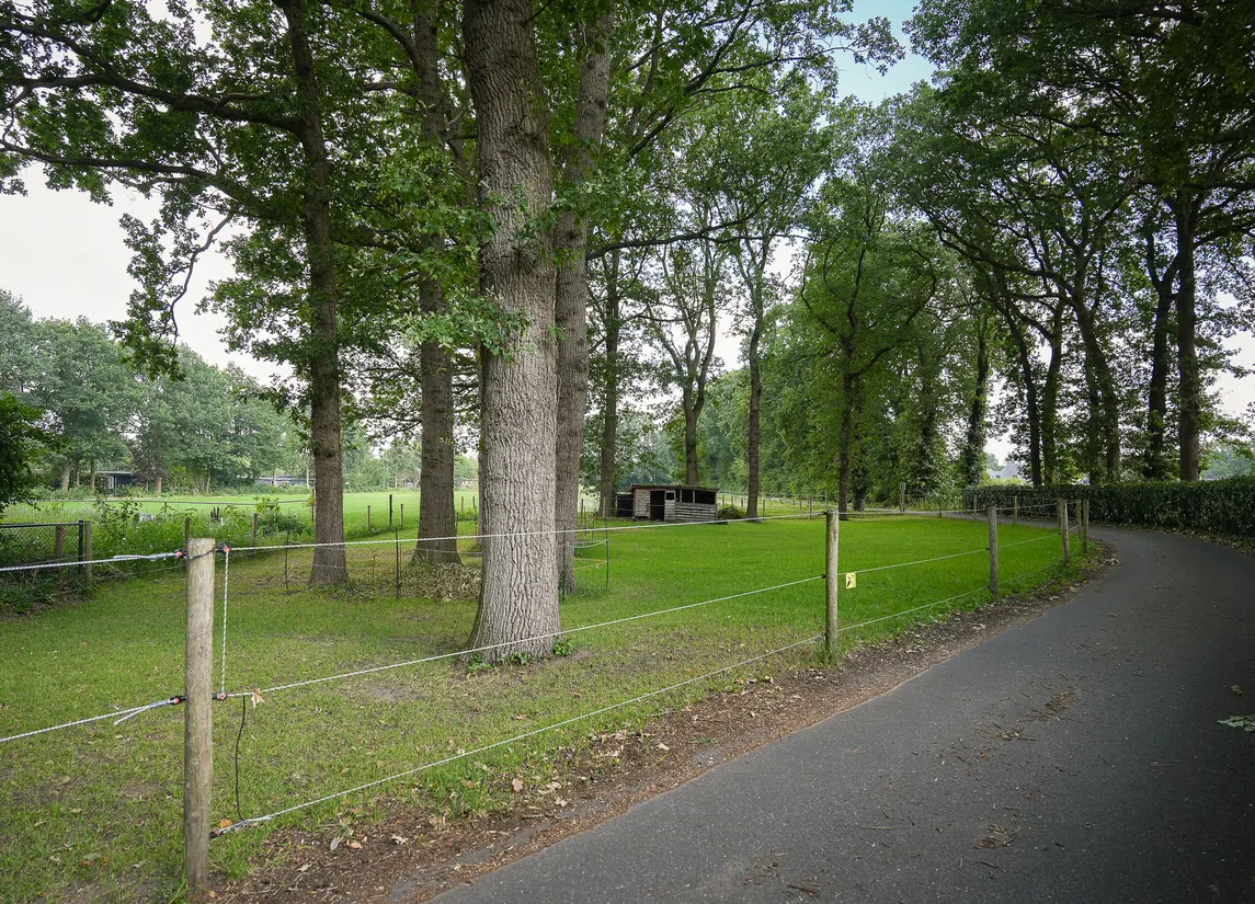 Onder de Bos 103