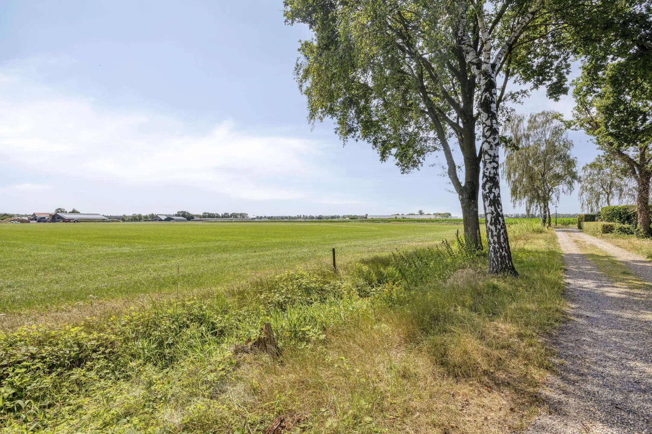 De Stille Wille 319
