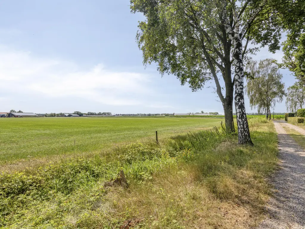 De Stille Wille 319, OOST WEST EN MIDDELBEERS