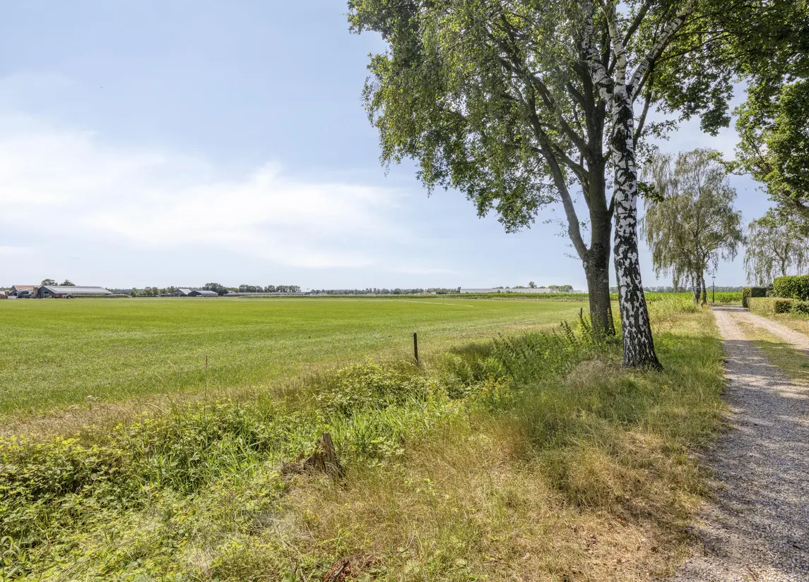 De Stille Wille 319